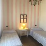 Cm Ranch كونيو