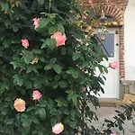 فندق مبيت وإفطار Cm Ranch كونيو