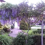 فندق مبيت وإفطار Cm Ranch كونيو