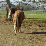 Cm Ranch 3* كونيو