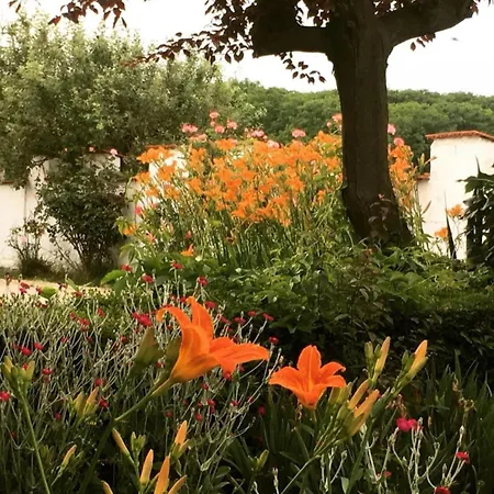 Bed and Breakfast Cm Ranch 3*