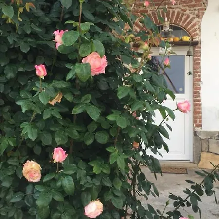 Bed and Breakfast Cm Ranch Κούνεο