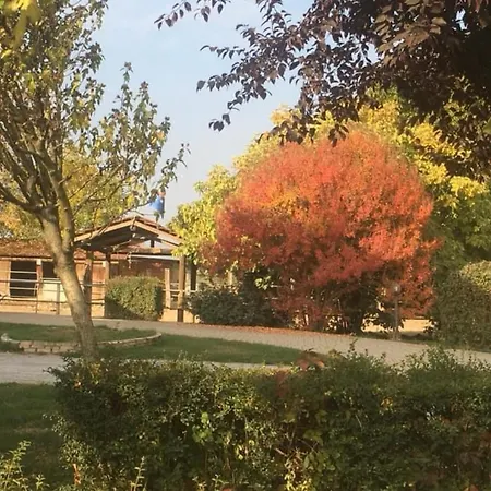 Cm Ranch