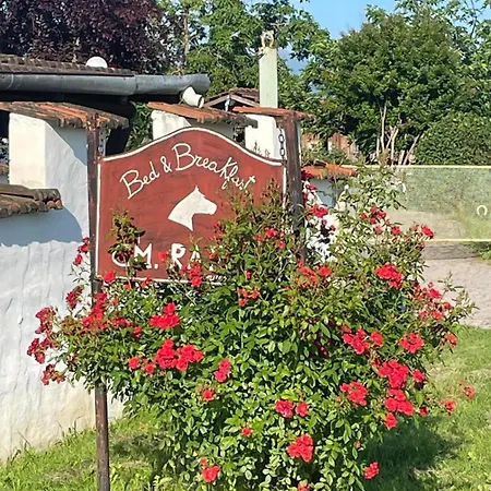 Cm Ranch Bed and Breakfast
