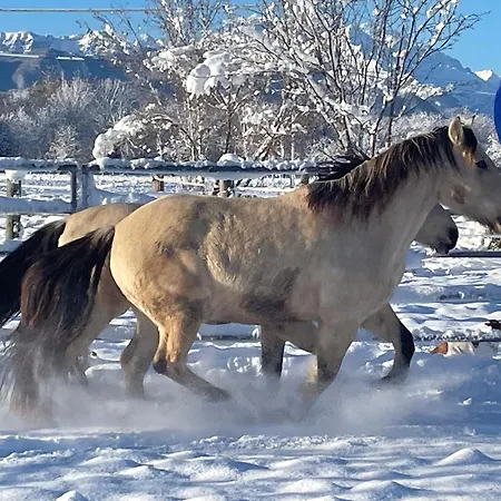 Cm Ranch 3*