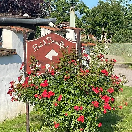 Cm Ranch 3* Κούνεο