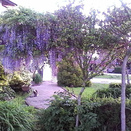 Bed and Breakfast Cm Ranch Κούνεο