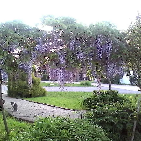 Bed & Breakfast Cm Ranch 3*