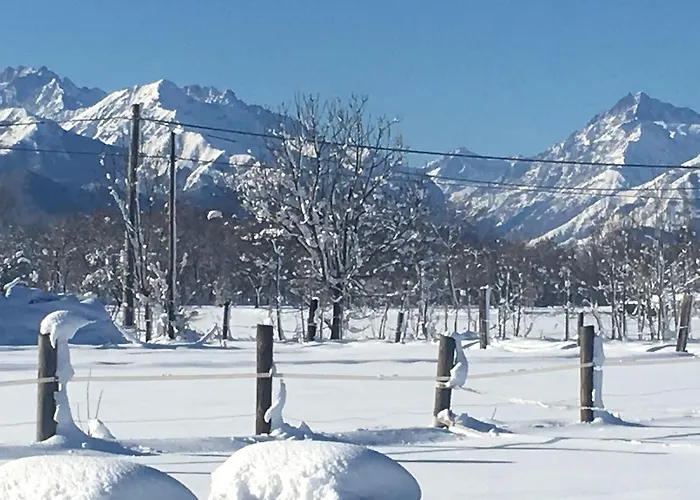 Cm Ranch Отель типа 